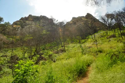 DSC_6350 (Large).JPG